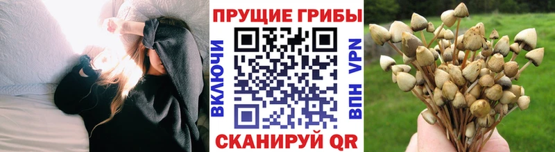 Псилоцибиновые грибы прущие грибы  даркнет официальный сайт  Омутнинск  магазин продажи  